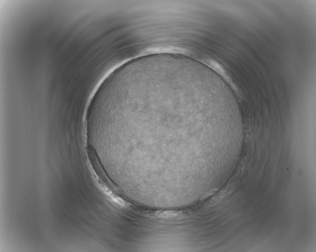 X0000063511140200602172139