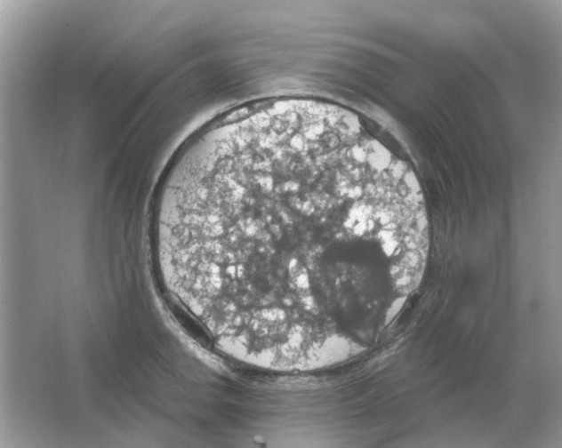 X0000063511142200602172139