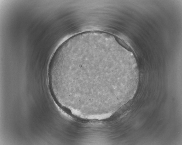 X0000063511143200602172139