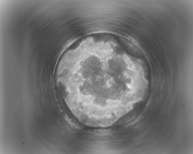 X0000063511145200602172139