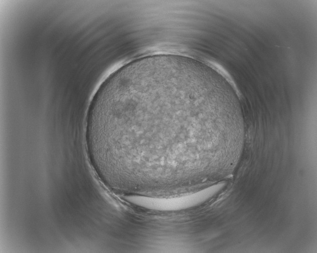 X0000063511146200602172139