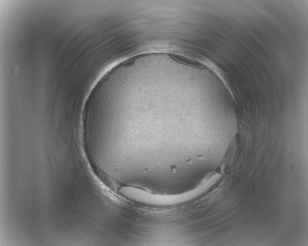 X0000063511147200602172139