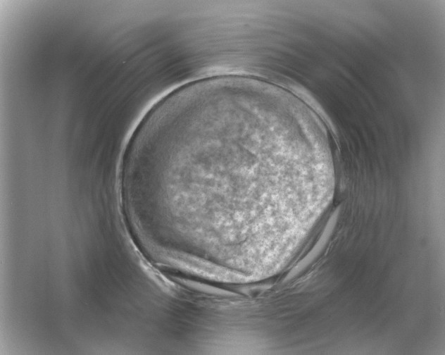 X0000063511148200602172139