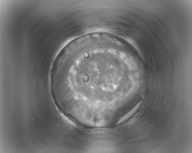 X0000063511151200602172139