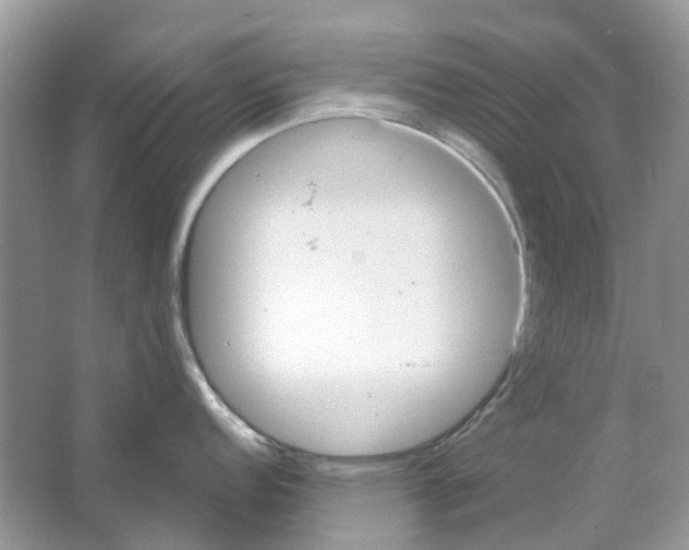 X0000063511152200602172139