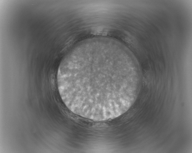 X0000063511154200602172138