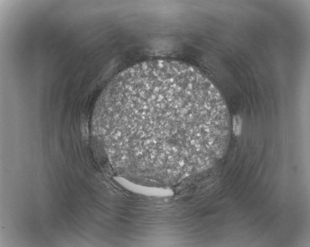 X0000063511155200602172138