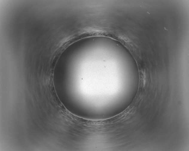 X0000063511157200602172138