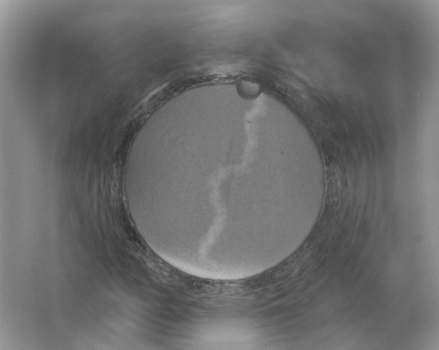 X0000063511158200602172138