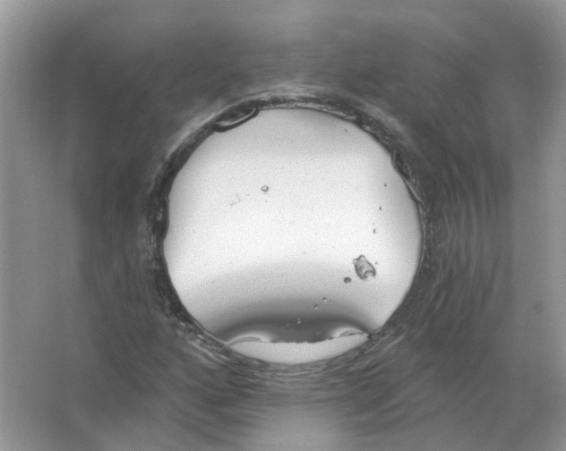 X0000063511160200602172138