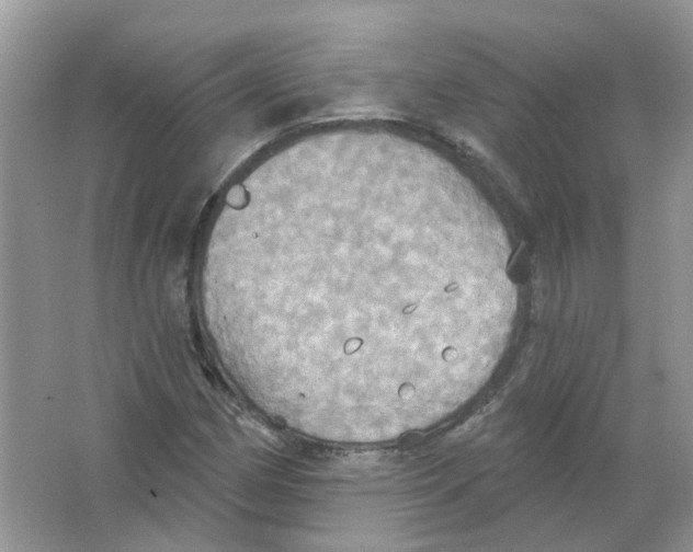 X0000063511162200602172138