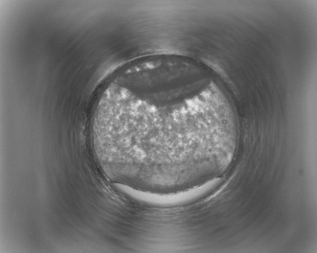 X0000063511163200602172138