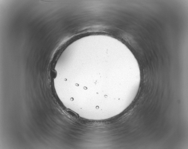 X0000063511164200602172138