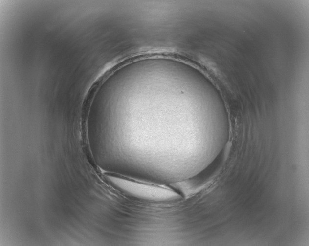 X0000063511165200602172138