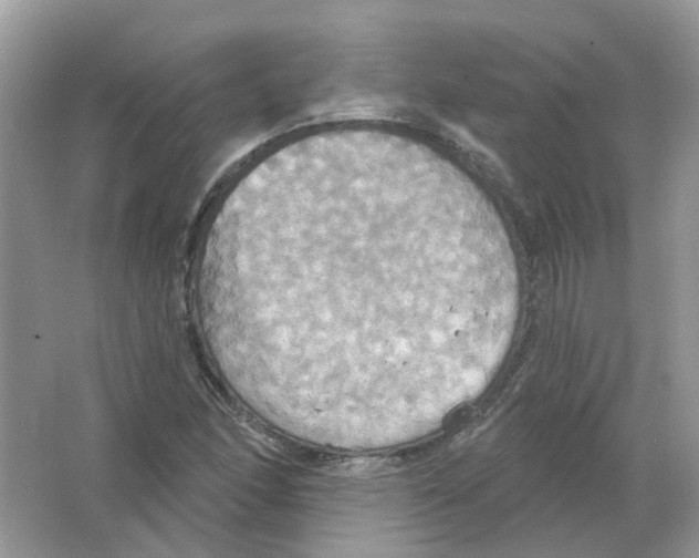 X0000063511166200602172138