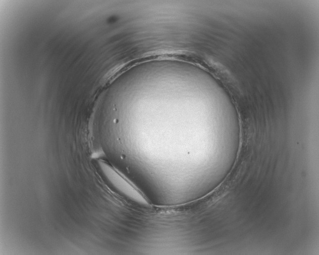 X0000063511169200602172138