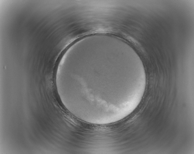 X0000063511170200602172138