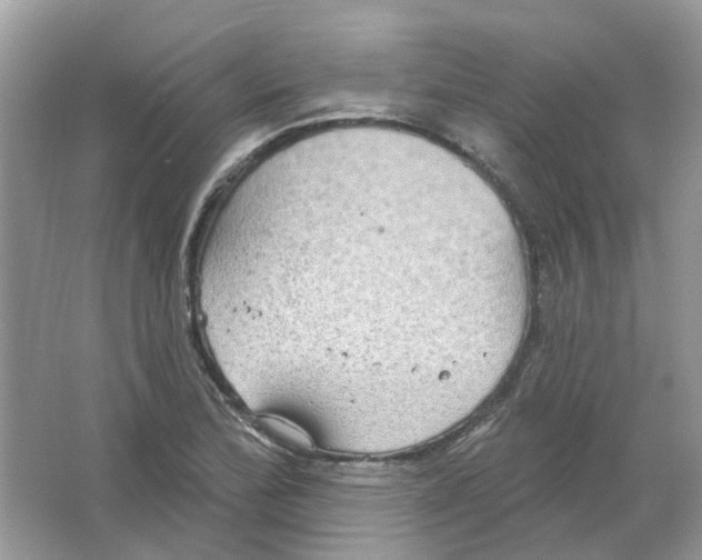 X0000063511172200602172138