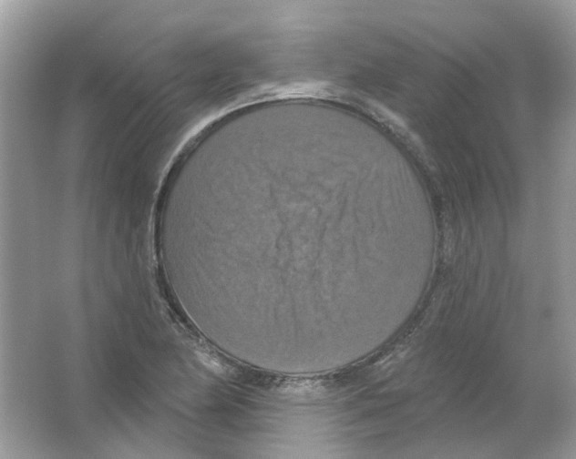 X0000063511174200602172138