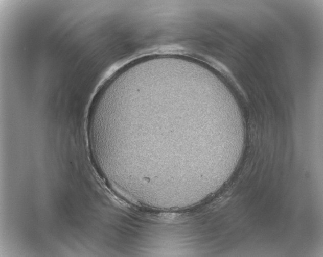 X0000063511176200602172138