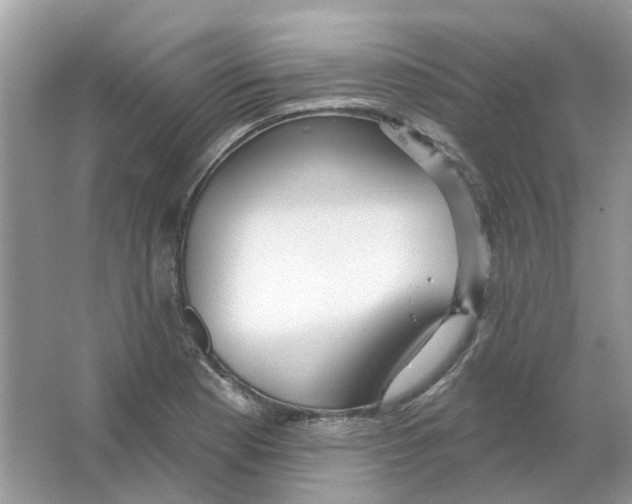 X0000063511177200602172138