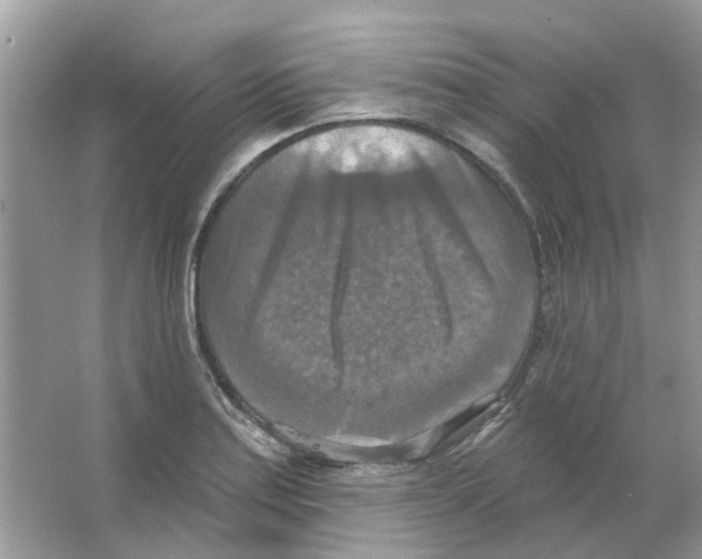 X0000063511179200602172138