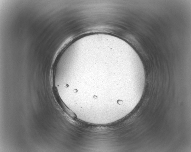 X0000063511180200602172138