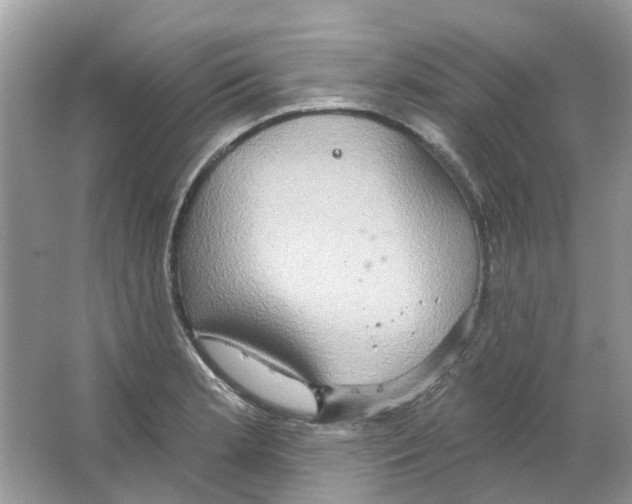 X0000063511181200602172138