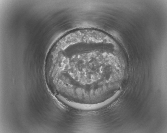 X0000063511183200602172138