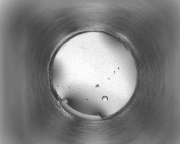 X0000063511184200602172138