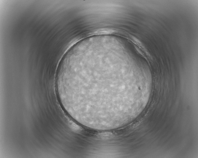 X0000063511186200602172137