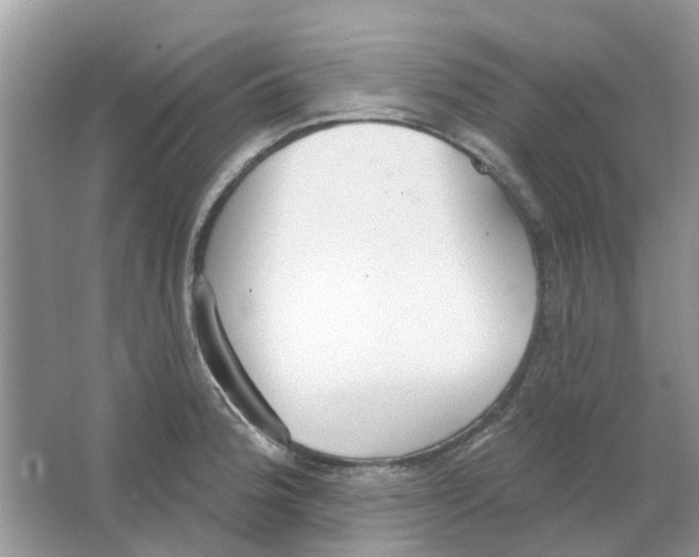 X0000063511188200602172137