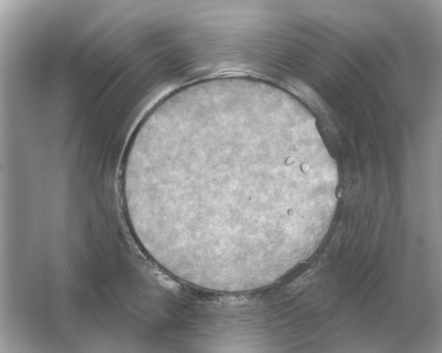 X0000063511190200602172137