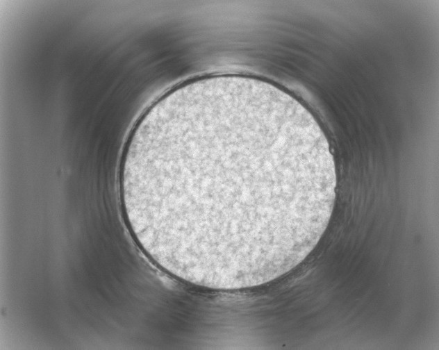 X0000063511191200602172137