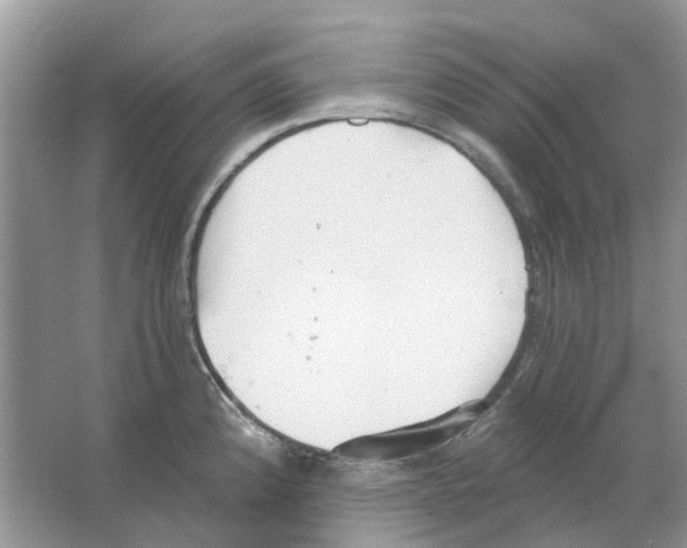 X0000063511192200602172137