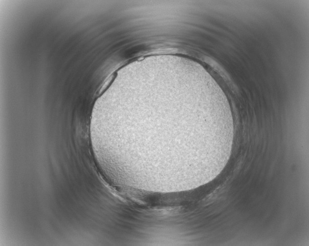 X0000063511193200602172137