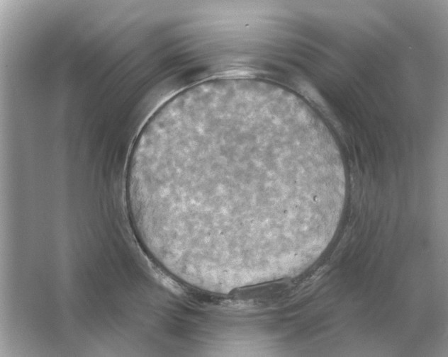 X0000063511194200602172137