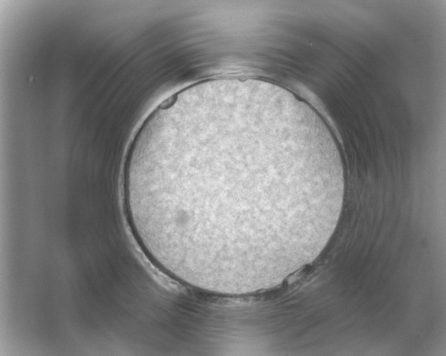 X0000063511195200602172137