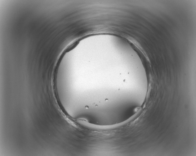 X0000063511197200602172137