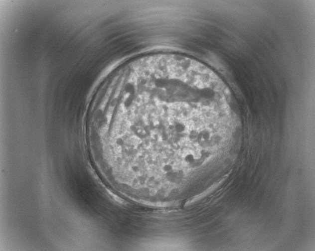 X0000063511199200602172137