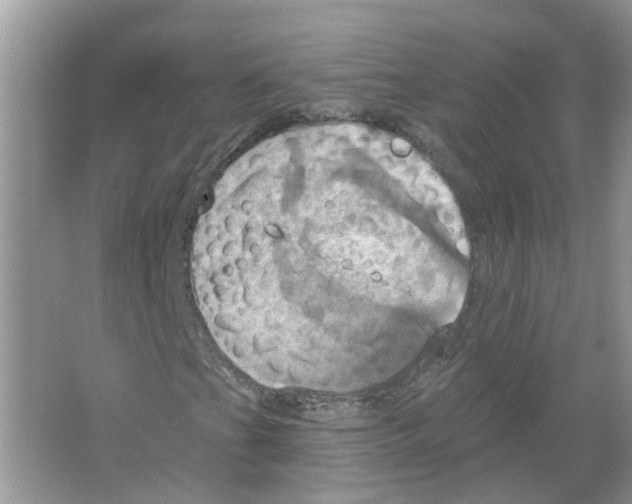 X0000063511201200602172136