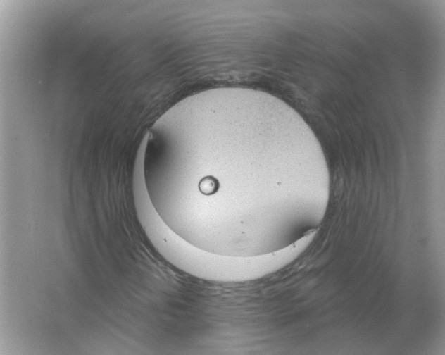 X0000063511202200602172136