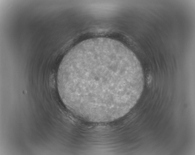 X0000063511204200602172136