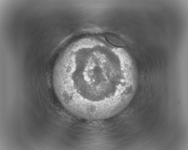 X0000063511205200602172136