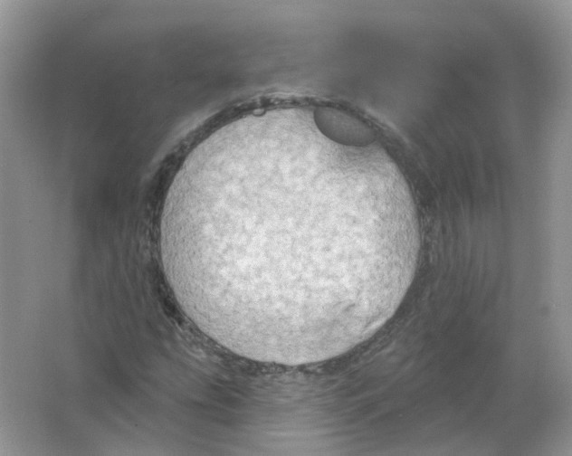 X0000063511207200602172137