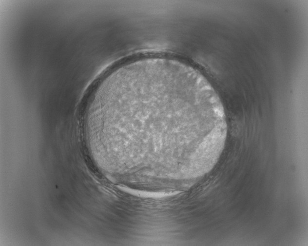 X0000063511208200602172137