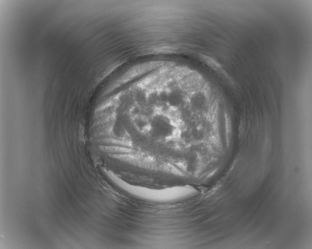 X0000063511209200602172137