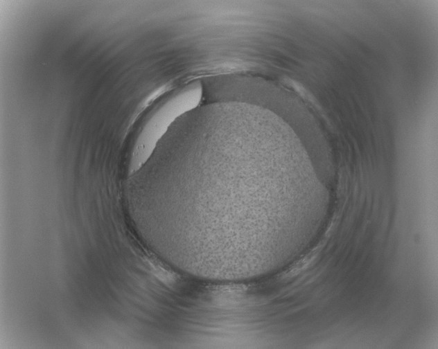 X0000063511210200602172137