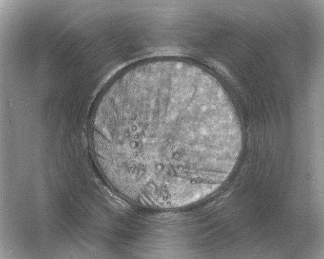 X0000063511212200602172137