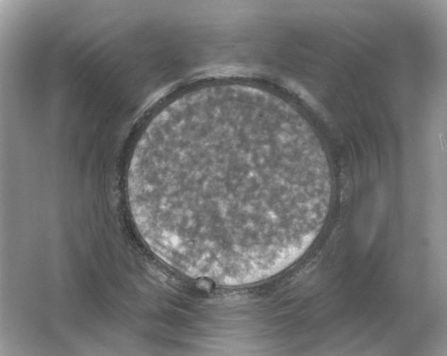 X0000063511213200602172137